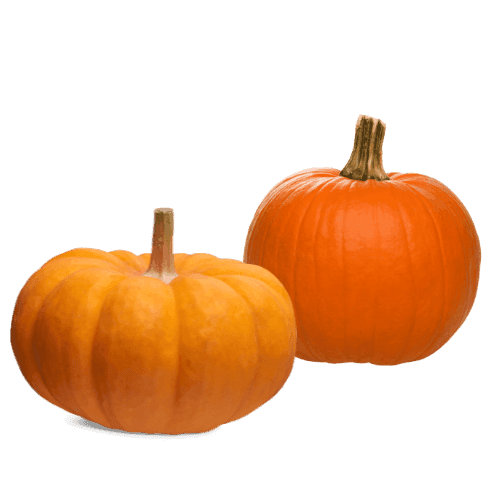 Pumpkin (IQF)